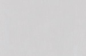 tempus-fr-sheer-swatch-silver