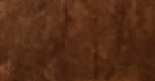 Walnut WM