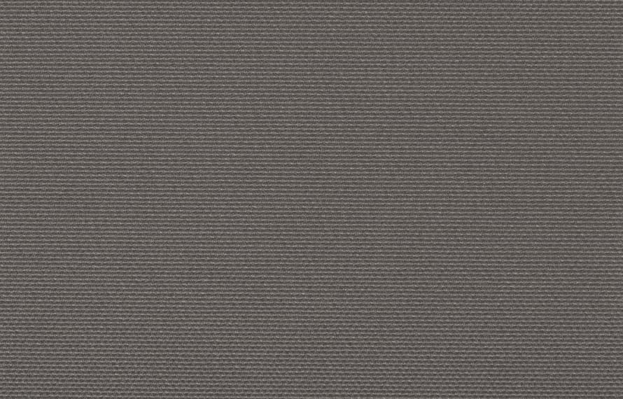 Porpoise